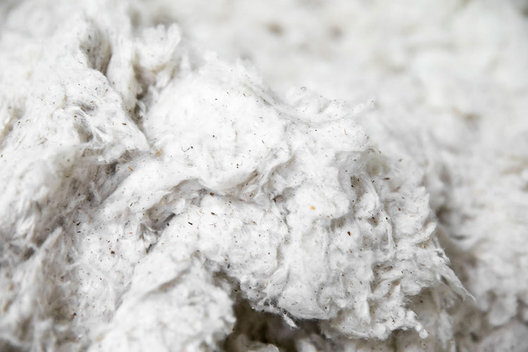 Cotton Stuffing