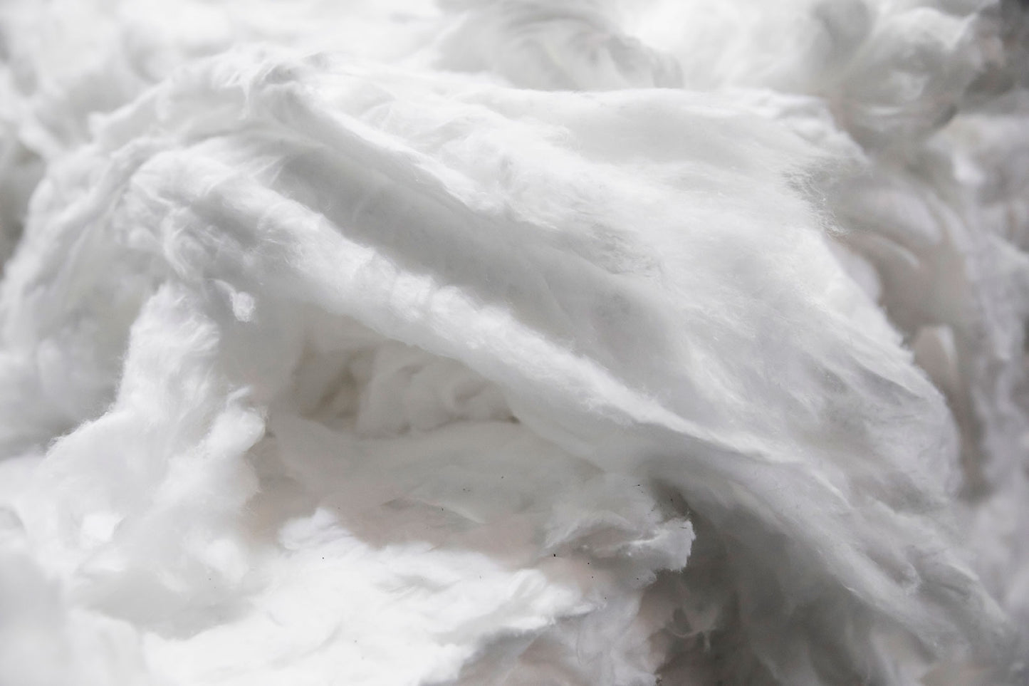 Detail image of cotton.