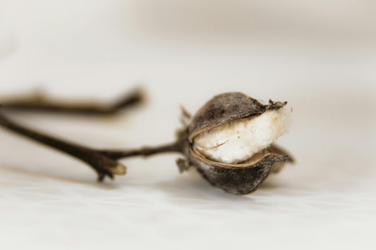 How to Wash and Care for Natural Cotton Products